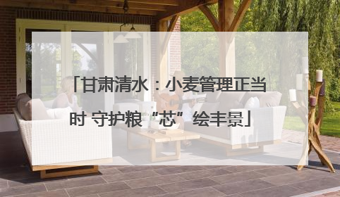 甘肃清水：小麦管理正当时 守护粮“芯”绘丰景