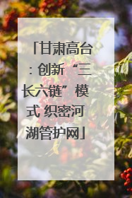 甘肃高台：创新“三长六链”模式 织密河湖管护网