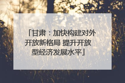 甘肃：加快构建对外开放新格局 提升开放型经济发展水平
