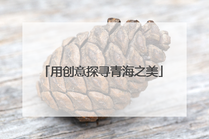 用创意探寻青海之美