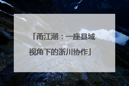 甬江潮：一座县域视角下的浙川协作