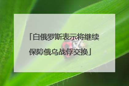 白俄罗斯表示将继续保障俄乌战俘交换