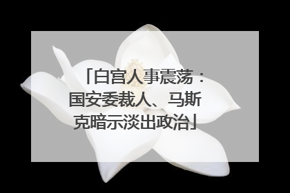 白宫人事震荡：国安委裁人、马斯克暗示淡出政治