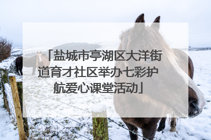 盐城市亭湖区大洋街道育才社区举办七彩护航爱心课堂活动