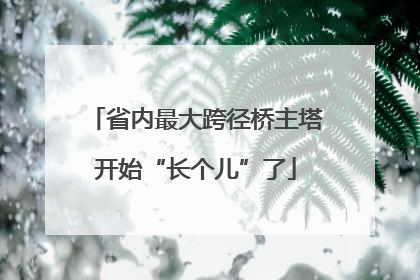 省内最大跨径桥主塔开始“长个儿”了