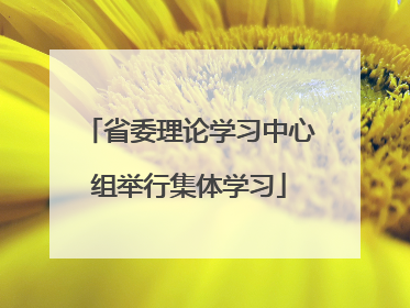 省委理论学习中心组举行集体学习