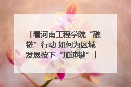看河南工程学院“融链”行动 如何为区域发展按下“加速键”