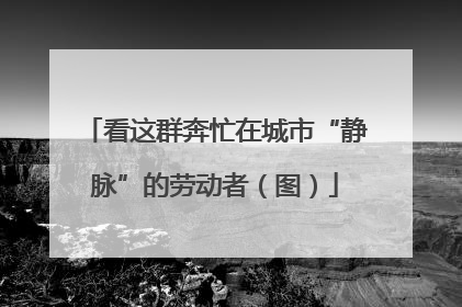 看这群奔忙在城市“静脉”的劳动者（图）