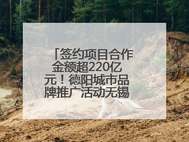 签约项目合作金额超220亿元！德阳城市品牌推广活动无锡站成绩单出炉