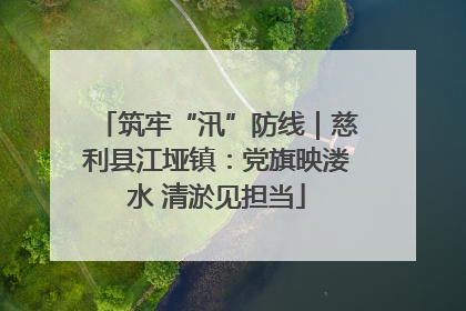 筑牢“汛”防线｜慈利县江垭镇：党旗映溇水 清淤见担当