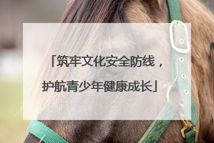 筑牢文化安全防线，护航青少年健康成长