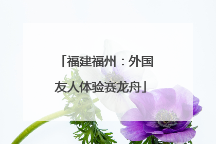 福建福州：外国友人体验赛龙舟