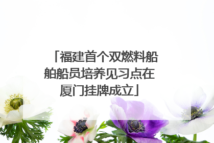 福建首个双燃料船舶船员培养见习点在厦门挂牌成立