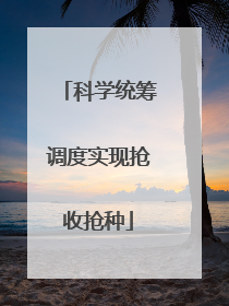 科学统筹调度实现抢收抢种