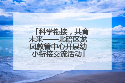 科学衔接，共育未来——北碚区龙凤教管中心开展幼小衔接交流活动