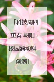 科技周四重奏 朝阳校园涌动科创潮