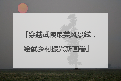 穿越武陵最美风景线，绘就乡村振兴新画卷
