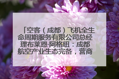 空客（成都）飞机全生命周期服务有限公司总经理布莱恩·阿格纽：成都航空产业生态完备，营商环境优势显著