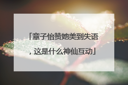 章子怡赞她美到失语，这是什么神仙互动