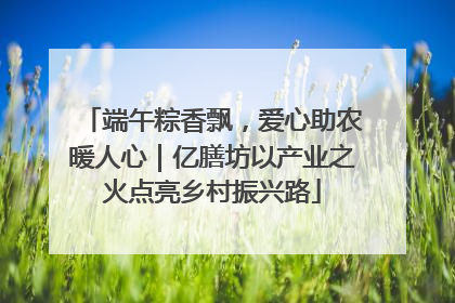 端午粽香飘，爱心助农暖人心｜亿膳坊以产业之火点亮乡村振兴路