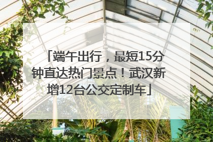 端午出行，最短15分钟直达热门景点！武汉新增12台公交定制车