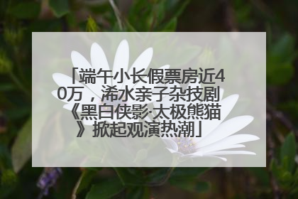 端午小长假票房近40万，浠水亲子杂技剧《黑白侠影·太极熊猫》掀起观演热潮