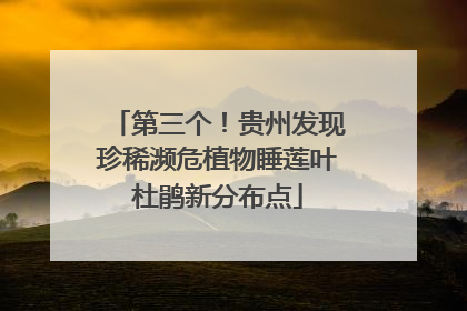 第三个！贵州发现珍稀濒危植物睡莲叶杜鹃新分布点