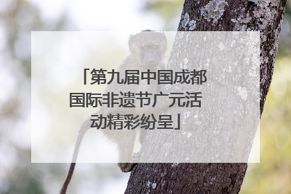 第九届中国成都国际非遗节广元活动精彩纷呈