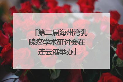 第二届海州湾乳腺癌学术研讨会在连云港举办