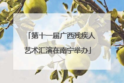 第十一届广西残疾人艺术汇演在南宁举办