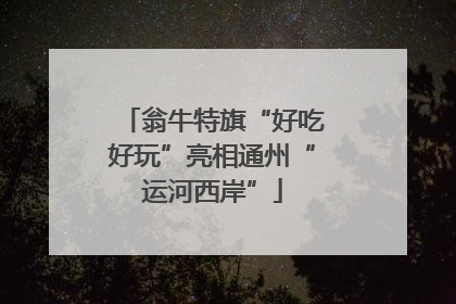 翁牛特旗“好吃好玩”亮相通州“运河西岸”
