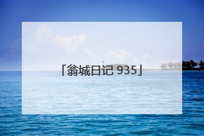 翁城日记 935