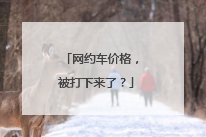 网约车价格，被打下来了？