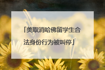 美取消哈佛留学生合法身份行为被叫停