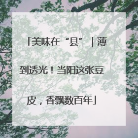 美味在“县”｜薄到透光！当阳这张豆皮，香飘数百年