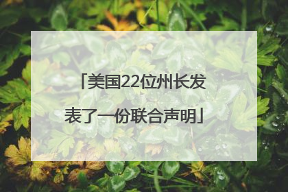 美国22位州长发表了一份联合声明
