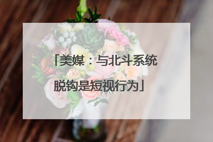美媒：与北斗系统脱钩是短视行为