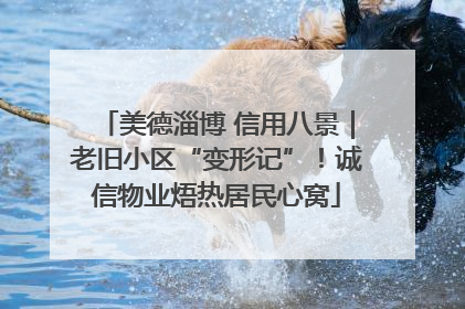 美德淄博 信用八景｜老旧小区“变形记”！诚信物业焐热居民心窝