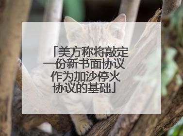 美方称将敲定一份新书面协议 作为加沙停火协议的基础