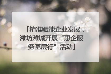 精准赋能企业发展，潍坊潍城开展“惠企服务基层行”活动