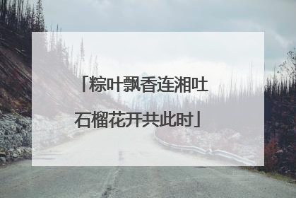 粽叶飘香连湘吐 石榴花开共此时
