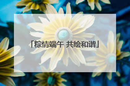 粽情端午 共绘和谐
