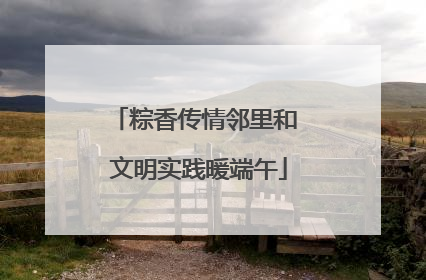 粽香传情邻里和 文明实践暖端午