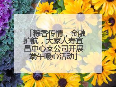 粽香传情，金融护航，大家人寿宜昌中心支公司开展端午暖心活动