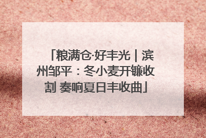 粮满仓·好丰光｜滨州邹平：冬小麦开镰收割 奏响夏日丰收曲