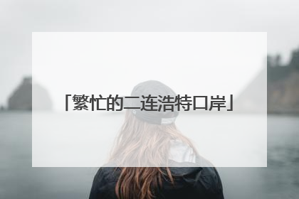 繁忙的二连浩特口岸