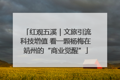 红观五溪｜文旅引流 科技增值 看一颗杨梅在靖州的“商业觉醒”