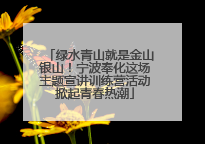 绿水青山就是金山银山！宁波奉化这场主题宣讲训练营活动掀起青春热潮
