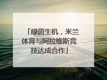 绿茵生机，米兰体育与阿拉维斯竞技达成合作