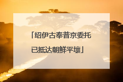 绍伊古奉普京委托已抵达朝鲜平壤